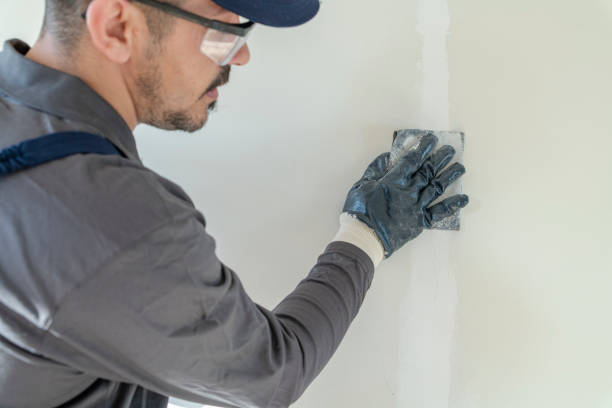 Best Drywall Crack Repair  in Madison, GA